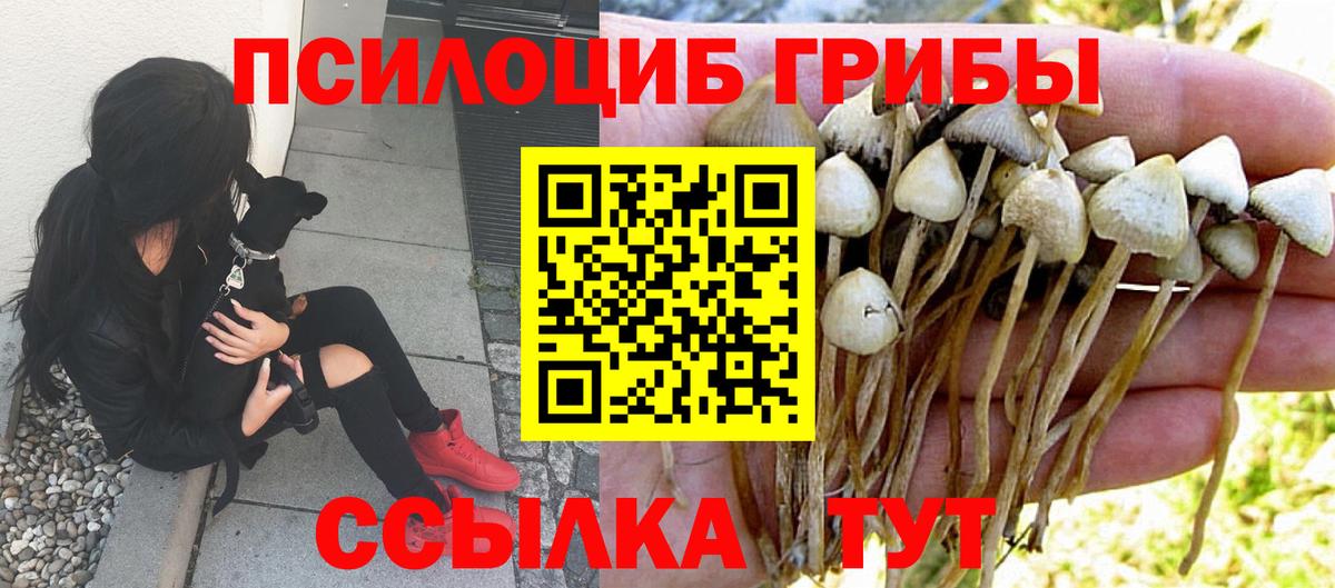 Псилоцибиновые грибы прущие грибы  Вход с VPN  Калуга  Псилоцибиновые грибы прущие грибы 